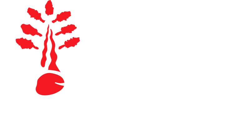 Hombale Films
